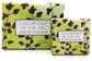 Botanical Collection Mini Soap Square