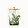 Thymes Large Luminary