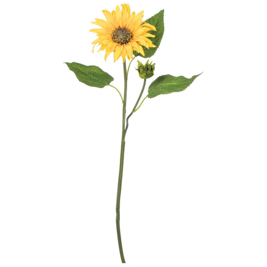 Sunflower Stem