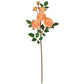 REAL GARDEN ROSE STEM